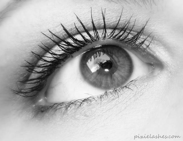 Holy grail mascara! 2